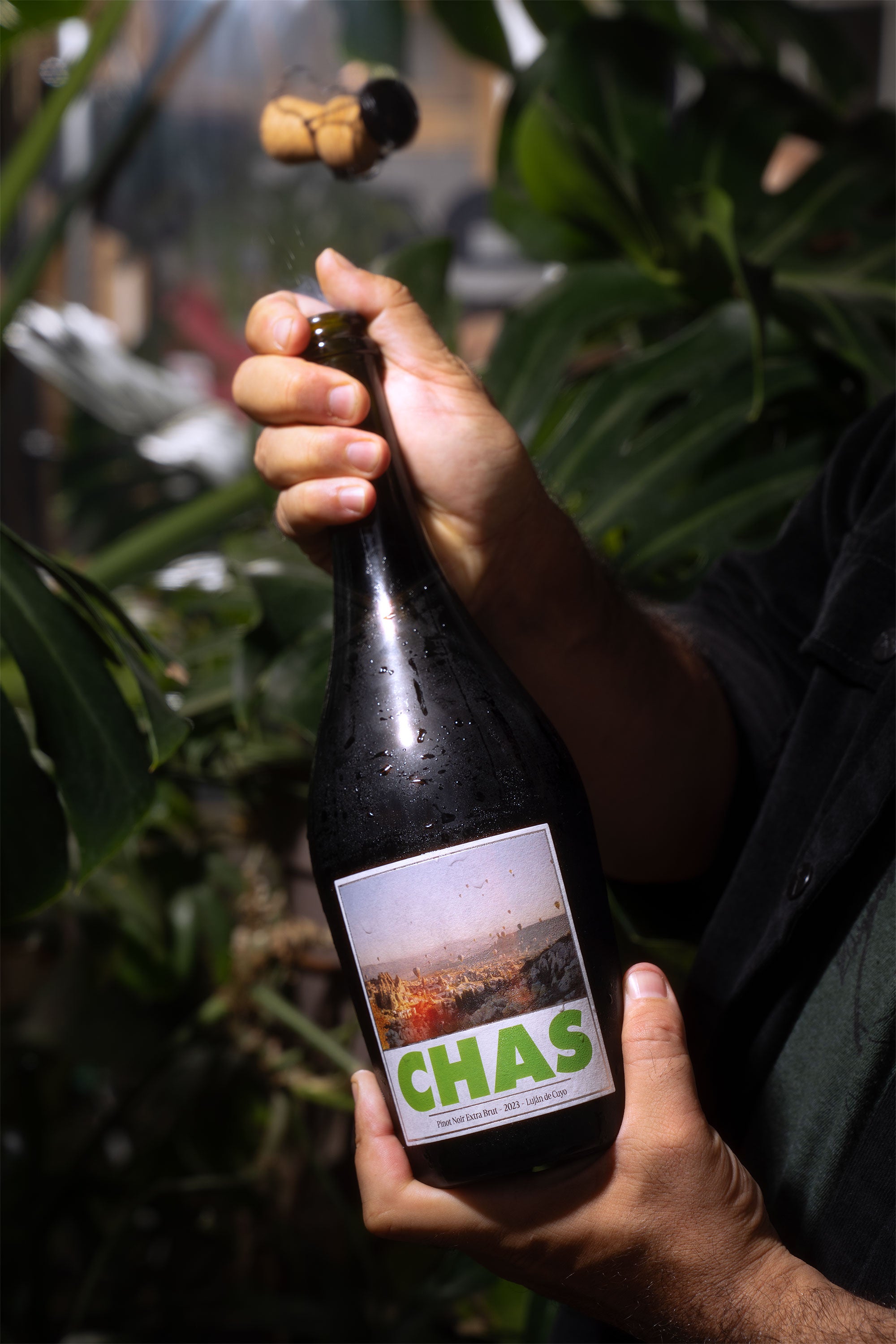 Chas Espumante 2024
